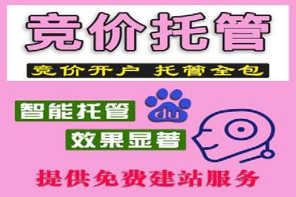 SEM竞价成功案例，经验分享与学习